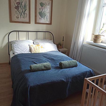 Apartament Przy Wandy 지엘로나구라 외부 사진