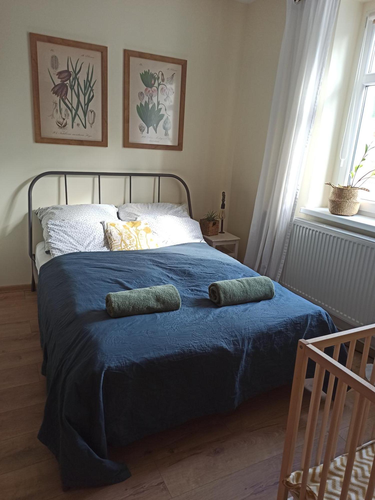 Apartament Przy Wandy 지엘로나구라 외부 사진